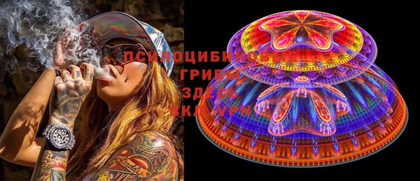 mdpv Новодвинск