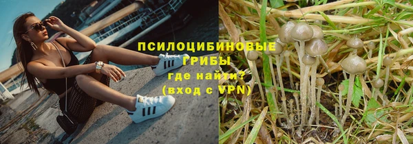 МДПВ Нефтегорск