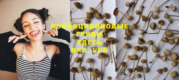 альфа пвп Новозыбков