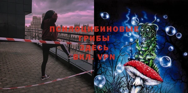 mdpv Новодвинск