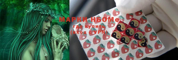 МДПВ Нефтегорск