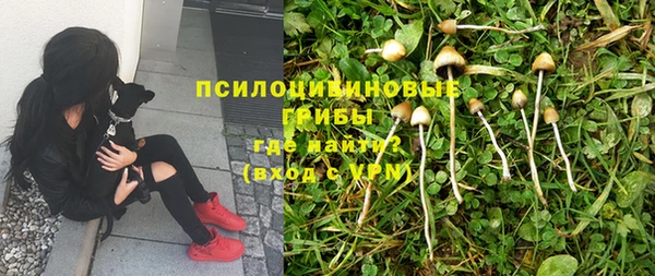 МДПВ Нефтегорск