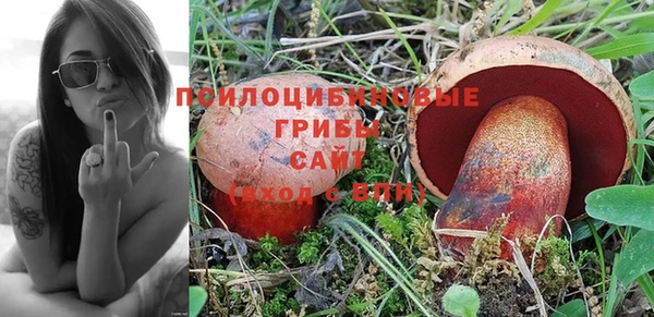 альфа пвп Новозыбков
