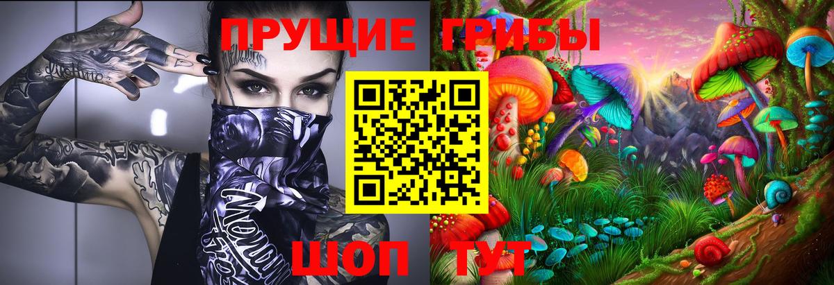 Галлюциногенные грибы Psilocybine cubensis  Мегион  Псилоцибиновые грибы прущие грибы 