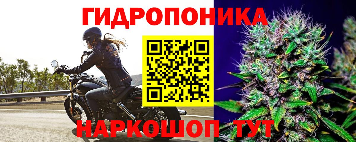 Бошки Шишки планчик Мегион